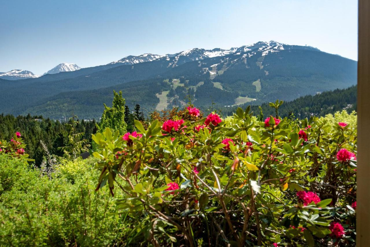 The Ironwood On Blueberry Hill Apartment Whistler Exterior photo